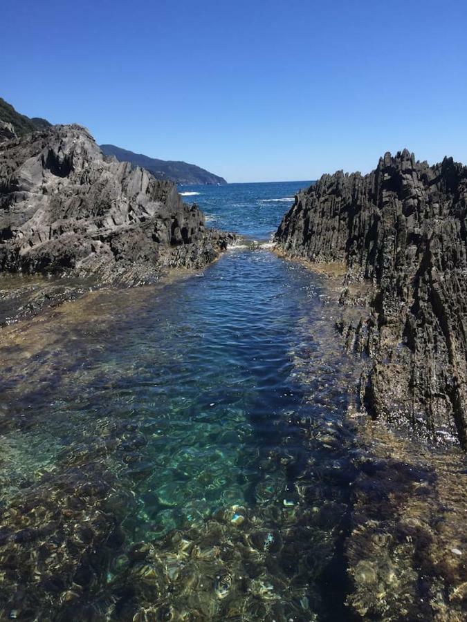 Tavernetta 109 Terrazza Tra Le 5 Terre E Portofino Deiva Marina Buitenkant foto